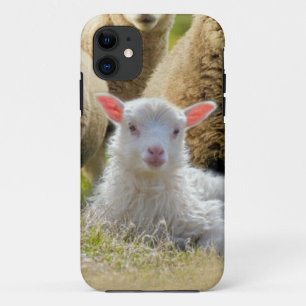 Baby Lamb Sheep Herd Flock Case-Mate iPhone Hülle