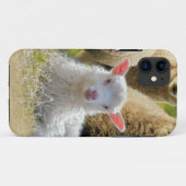 Baby Lamb Sheep Herd Flock Case-Mate iPhone Hülle (Rückseite (Horizontal))