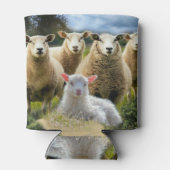 Baby Lamb Sheep Herd Flock Dosenkühler (Rückseite)
