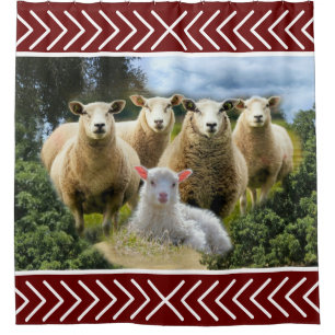 Baby Lamb Sheep Herd Flock Duschvorhang