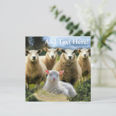 Baby Lamb Sheep Herd Flock Einladung (Stehend Vorderseite)
