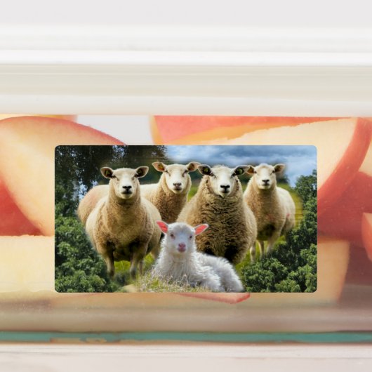 Baby Lamb Sheep Herd Flock Etiketten (Befestigt)