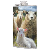 Baby Lamb Sheep Herd Flock Flachmann (Links)