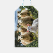 Baby Lamb Sheep Herd Flock Geschenkanhänger (Rückseite)
