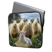 Baby Lamb Sheep Herd Flock Laptopschutzhülle (Vorderseite Links)