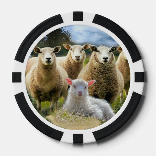Baby Lamb Sheep Herd Flock Pokerchips (Vorderseite)