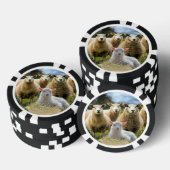 Baby Lamb Sheep Herd Flock Pokerchips (Stapel)