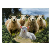 Baby Lamb Sheep Herd Flock Poster (Vorderseite)