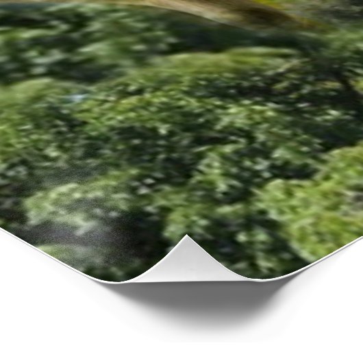 Baby Lamb Sheep Herd Flock Poster (Ecke)