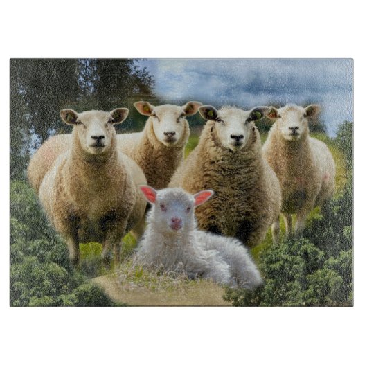 Baby Lamb Sheep Herd Flock Schneidebrett (Vorderseite)
