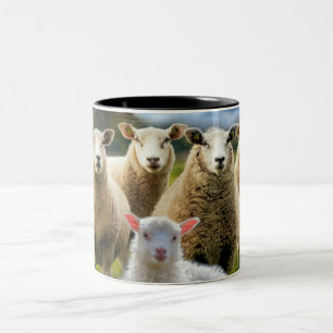 Baby Lamb Sheep Herd Flock Zweifarbige Tasse
