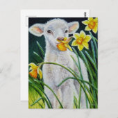Baby Lamb und Frühlingsgetränke Postkarte (Vorne/Hinten)