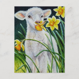 Baby Lamb und Frühlingsgetränke Postkarte