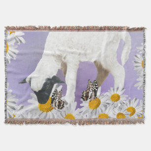 Baby Lambs erste Schritte Decke