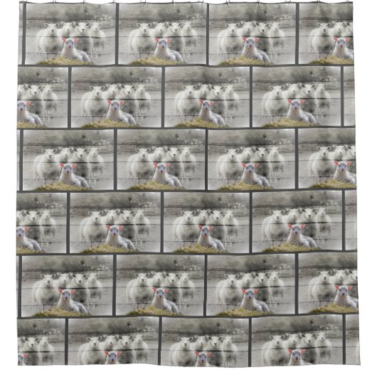 Baby Lamm Duschvorhang (Vorderseite)