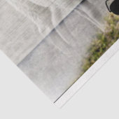 Baby-Lamm-Papiertücher für Schafe Flock Seidenpapier (Ausschnitt)