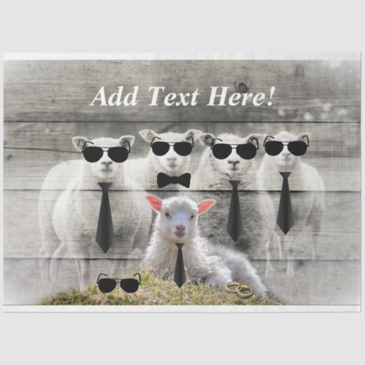 Baby-Lamm-Papiertücher für Schafe Flock Seidenpapier (Vorderseite)