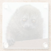 Baby Lemur Glass Untersetzer (Rückseite)
