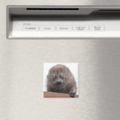 Baby Lemur Magnet (In Situ (Geschirrspüler))
