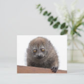 Baby Lemur Postcard Postkarte (Stehend Vorderseite)