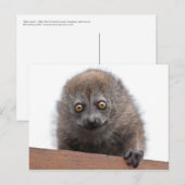 Baby Lemur Postcard Postkarte (Vorne/Hinten)