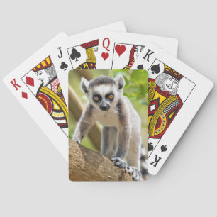 Baby Lemuren mit Ringelschwanz Spielkarten