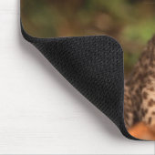 Baby-Leopard Mousepad (Ecke)