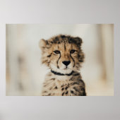 BABY LEOPARD POSTER (Vorne)