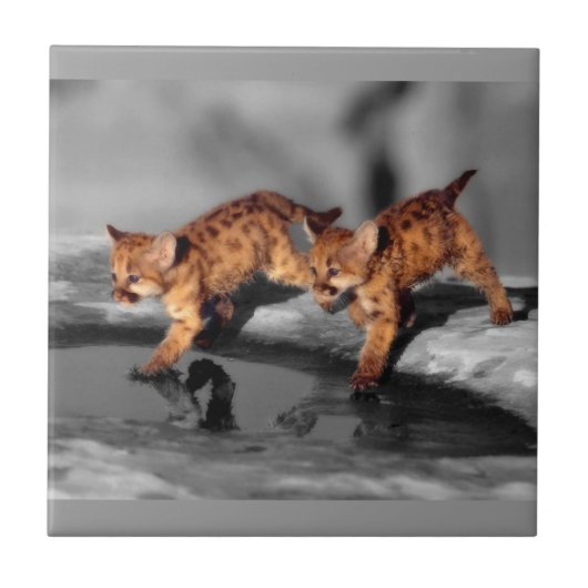 Baby Leopards Fliese (Vorderseite)