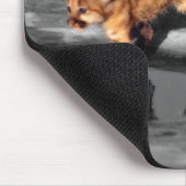 Baby Leopards Mousepad (Ecke)