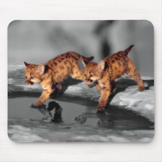 Baby Leopards Mousepad (Vorne)