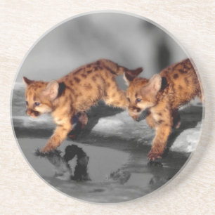 Baby Leopards Untersetzer