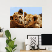 Baby lion love poster (Heimbüro)