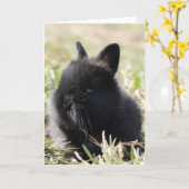 Baby Lionhead Karte (Gelbe Blume)