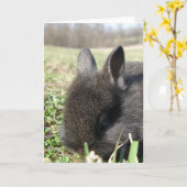 Baby Lionhead Karte (Gelbe Blume)
