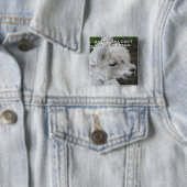 Baby Llama braucht kein Drama Button (Beispiel)