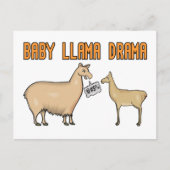 Baby Llama Drama Postkarte (Vorderseite)