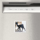 BABY LLAMA MAGNET (In Situ (Geschirrspüler))