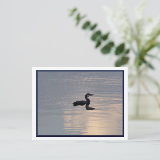 Baby Loon/Northern MN Postcard Postkarte (Stehend Vorderseite)