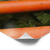 Baby Lop-Oared Bunny Hugging Carrots Poster (Ecke)