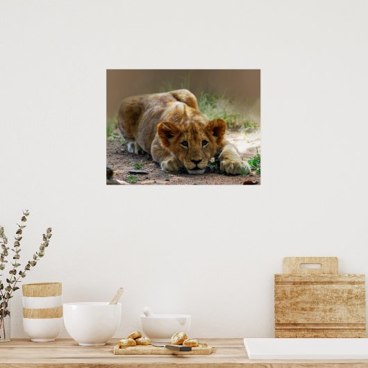 Baby-Löwe-Cube Poster (Küche)
