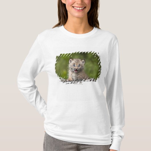 Baby-Luchs, der über A gefallenem Baum schaut T-Shirt (Vorderseite)