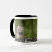 Baby-Luchs, der über A gefallenem Baum schaut Tasse (Vorderseite Links)