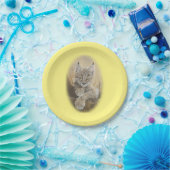 Baby-Luchs-Papier-Teller Pappteller (Party)