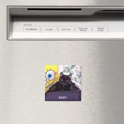 BABY MAGNET (In Situ (Geschirrspüler))