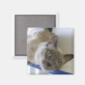 Baby Magnet (Vorderseite/Rückseite)