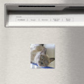 Baby Magnet (In Situ (Geschirrspüler))