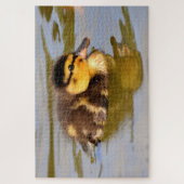Baby Mallard Duck schwimmen Puzzle (Vertikal)