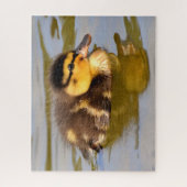 Baby Mallard Duck schwimmen Puzzle (Vertikal)