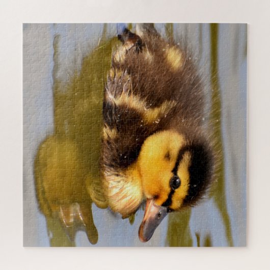 Baby Mallard Duck schwimmen Puzzle (Horizontal)